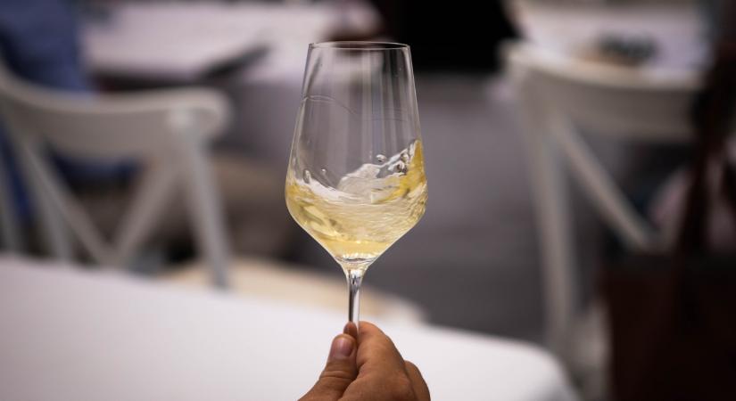 Bajban van az ország egyik híres borkereskedése