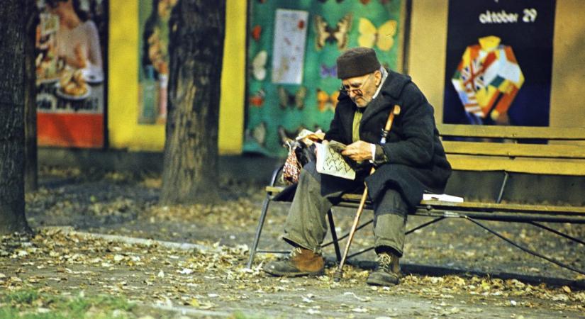 József Attila nem volt hajlandó megfejteni az első magyar rejtvényt, de Kosztolányi rajongott érte