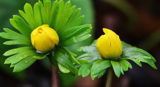 Hamar elillan a tél, csütörtökön délkeleten már 15 fok lesz