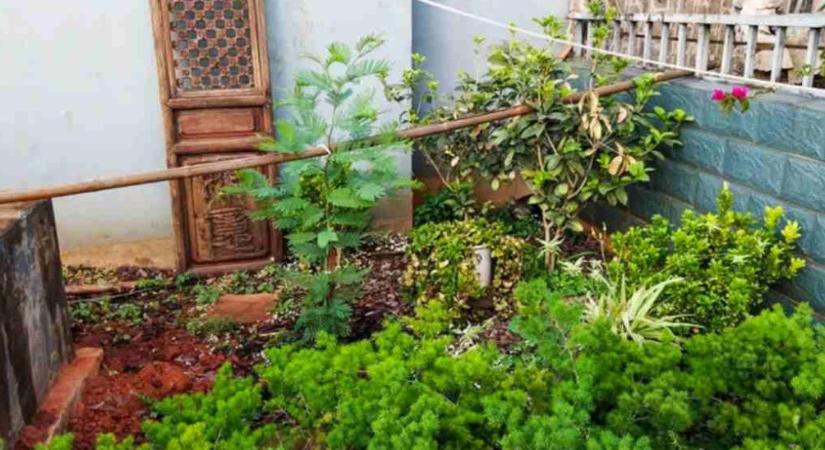 IQ-teszt: az átlagosnál intelligensebb, ha meg tudja oldani ezt a rejtvényt