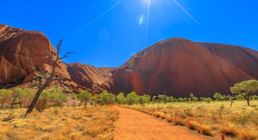 Sivatagba ültettek fát Kínában, tíz év alatt erdő lett belőle