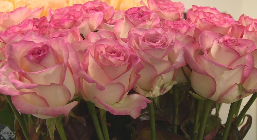 Ezek lesznek az idei virágtrendek! Mutatjuk!