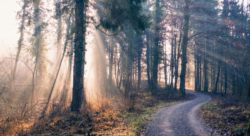 Napi horoszkóp – február 3.