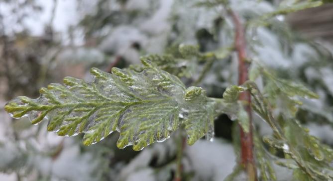 Még szerda hajnalban, reggel is eshet ónos eső