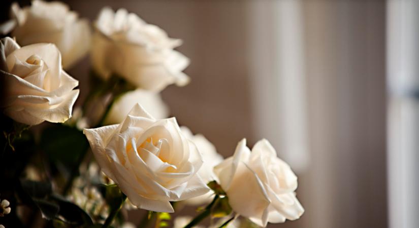 Képtelen lennék megszólalni - Bodrogi Gyula elárulta, mikor búcsúznak Voith Ágitól