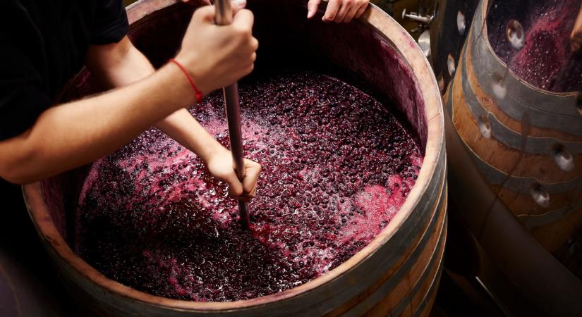 Rengeteg magyar borász került bajba: tömegek mehetnek tönkre, ha ez így megy tovább