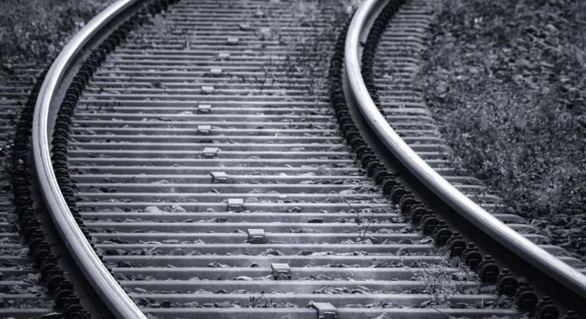 Fa dőlt a sínekre, fennakadás a győri fővonalon - Egy szakaszon nem közlekedhetnek a vonatok