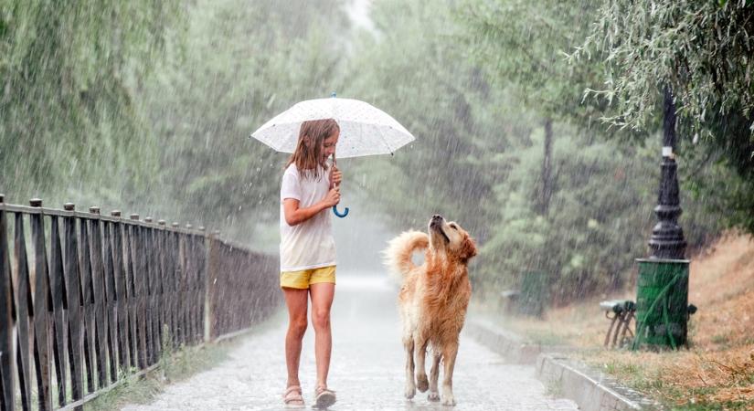 Sokfelé számíthatunk esőre