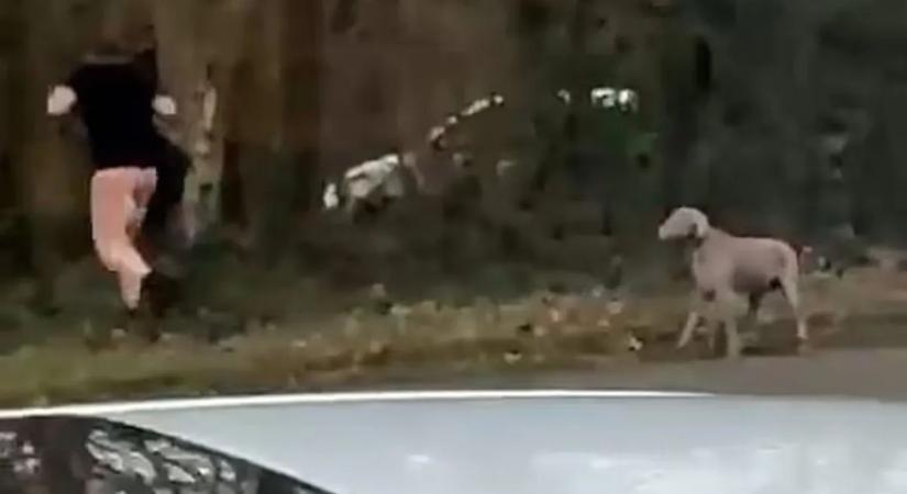 Meztelen menekülés egy tiltott légyott után? Videón a botrányos jelenet