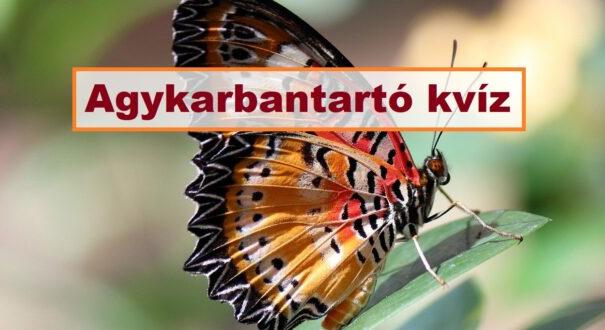 Agykarbantartó kvíz: Van pár perced? Játszd le ezt az izgalmas quizt (838)