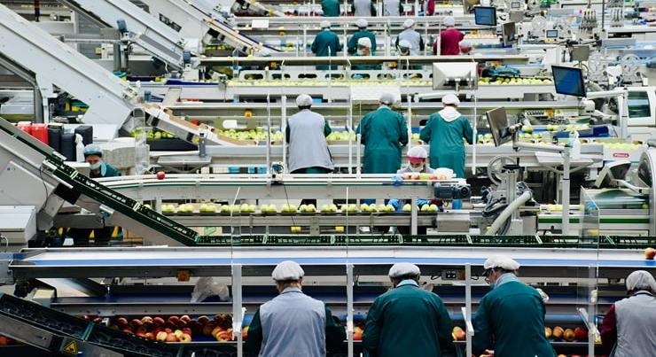 Raktártól a recepcióig: itt volt a legnagyobb munkaerőhiány 2025-ben