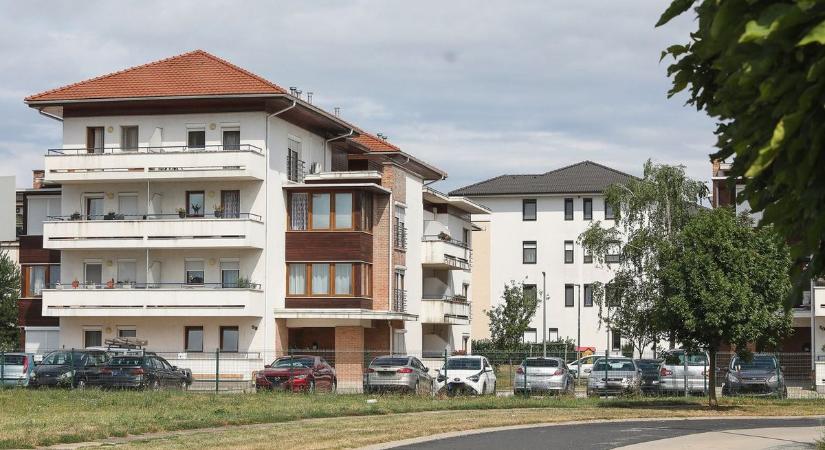 Bezuhant az érdeklődés a Jászkunságban – szakértő beszélt az okokról és arról, mi jön ezután