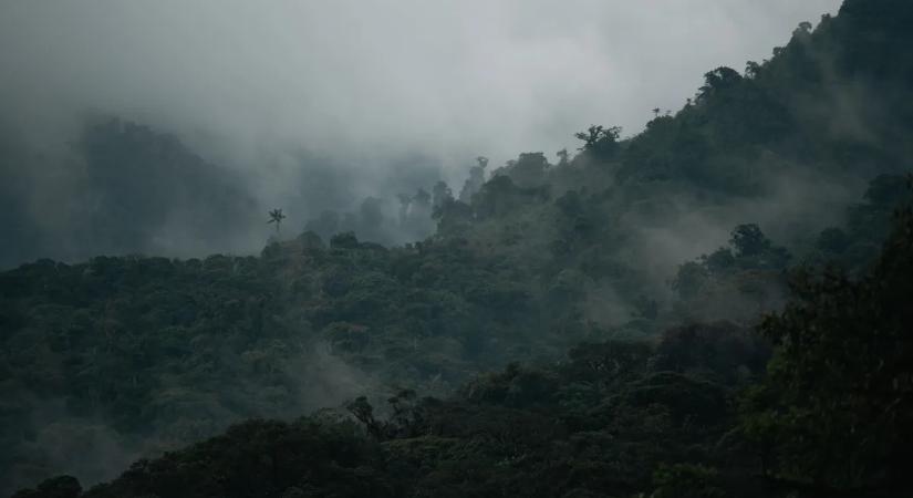 „A barátomat egy törzs ölte meg – sosem felejtem el, ahogy csapdába ejtették”