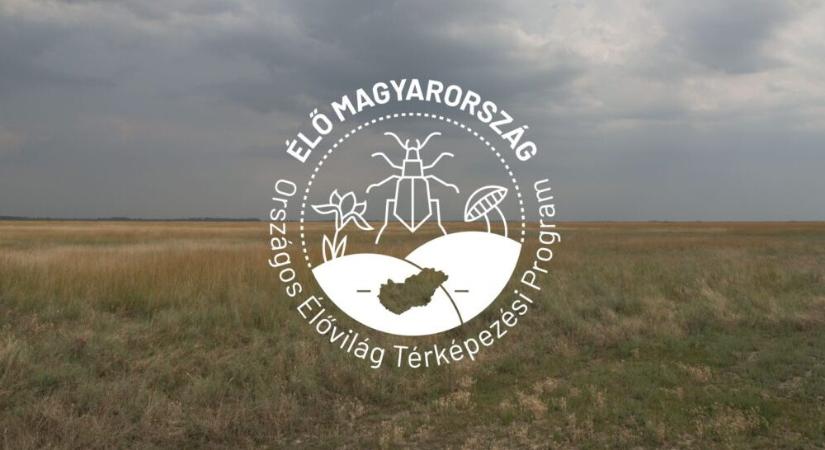 Egy megyényi természet sorsa múlik azon, mit tudunk róla – és most bárki beszállhat a rejtett értékek feltérképezésébe