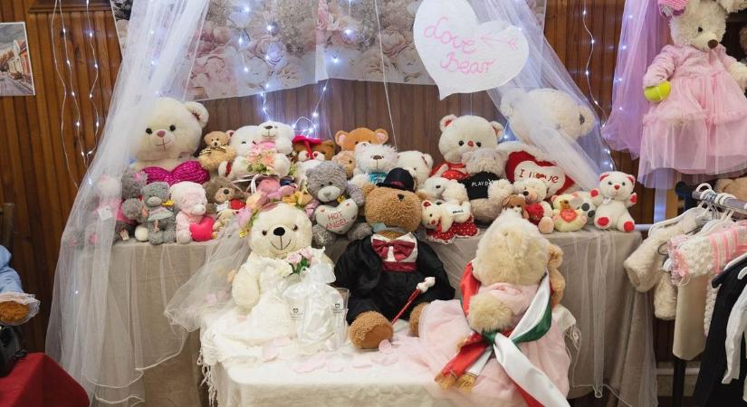 Plüssmacik lepték el Izsákot: ettől a kiállítástól garantáltan túlcsordul a szíve! – videó