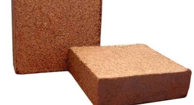 A kókusz (mint ültető közeg) pufferolása és mosatása