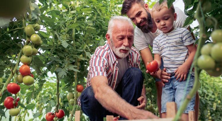 Pályázatok segítik a mezőgazdaság generációs megújulását