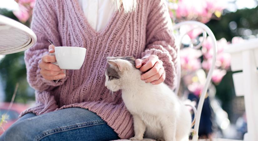 Kávészünet négylábúak között