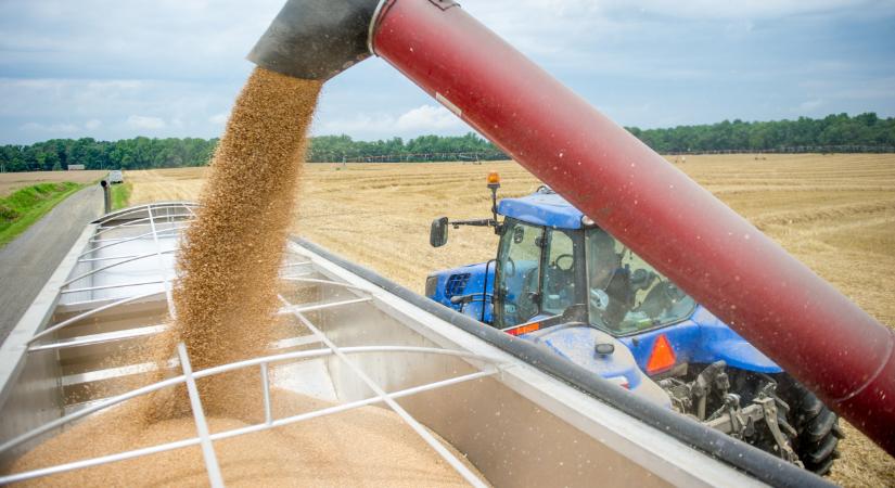 Ennyibe kerül most egy tonna búza, kukorica itthon: ezt látnod kell