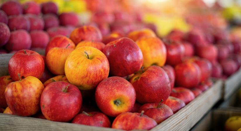 Nébih: nem veszélyes a magyar alma – Mit kell tudni a növényvédőszer-maradványokról?