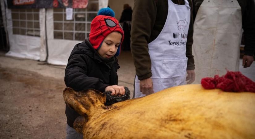 „Dezsőnek meg kell halnia” – Disznótoros fesztivál forgalomkorlátozással