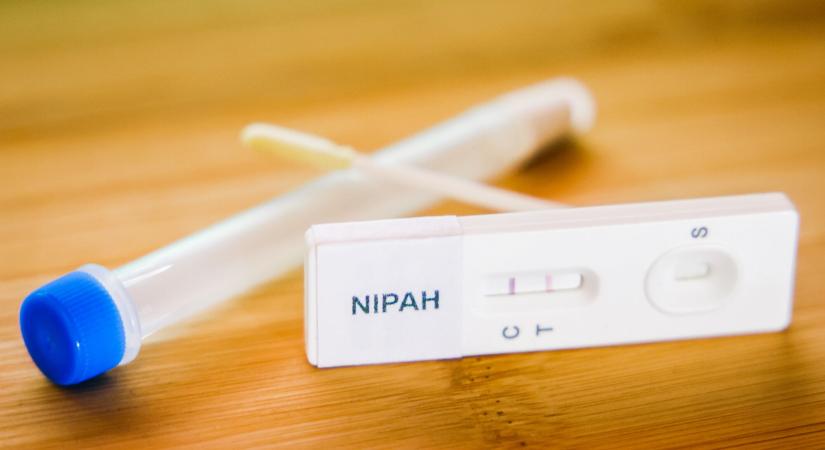 Nipah-vírus: három módon terjedhet – Ezek a tünetek jelzik a fertőzést