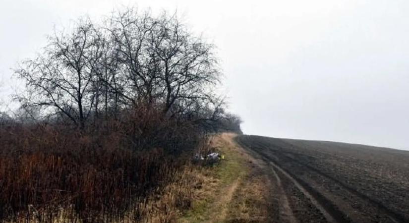 Több év fegyházbüntetés várhat a férfira, aki fojtogatott és bántalmazott egy kislányt Sárisápon