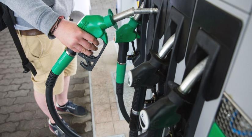 Rendkívüli osztalékot fizet a Mol riválisa – 8,5 százalék feletti eurós hozamot kínál az OMV, kilőttek a részvények