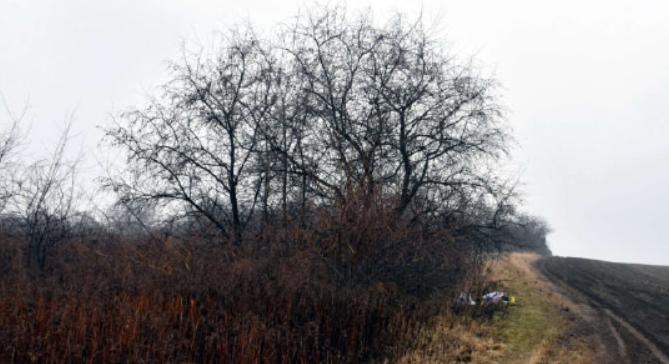 Egy sárisápi férfi szexuálisan bántalmazott egy még 10 évet sem betöltött kislányt, majd megpróbálta őt megölni
