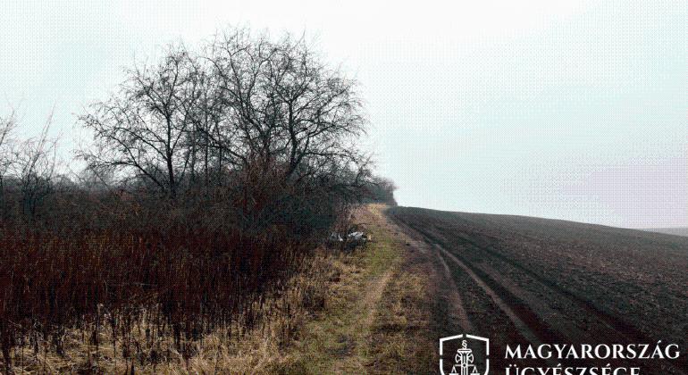 Egy temető közelében szexuálisan bántalmazott és majdnem megölt egy kislányt egy sárisápi férfi