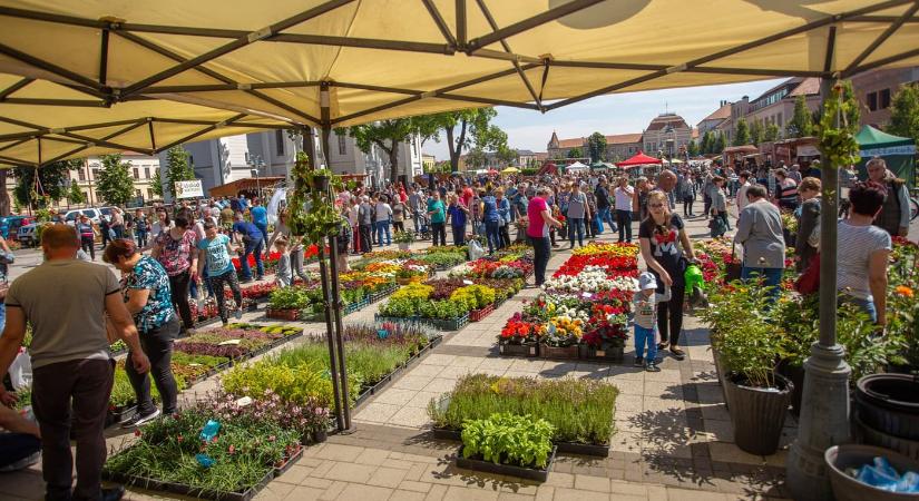 Dísznövény és Ízek Fesztiválja 2026 Hajdúböszörmény