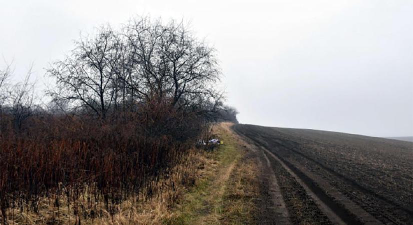 10 év alatti kislányt fojtogatott és bántalmazott szexuálisan egy férfi a sárisápi temetőnél