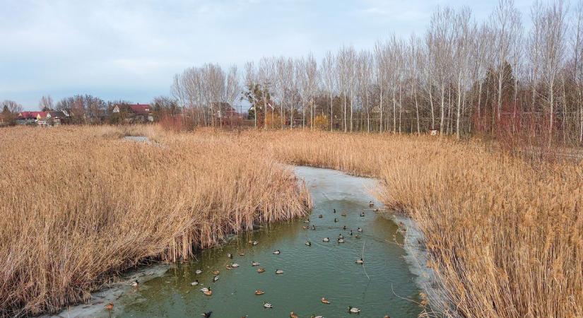 Eső? Köd? Enyheség? Mutatjuk, mire számíts ma