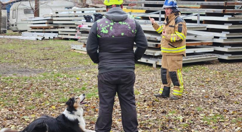 Mentőkutyás lenne Pécsen? Most itt a lehetőség!