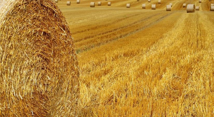 Jelentős változások előtt áll a magyar agrárium 2026-ban