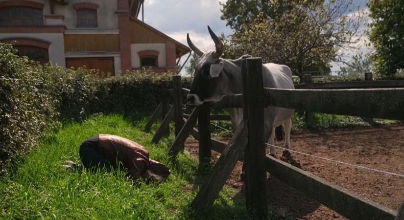 Lelki utazásra küldték Aureliót – különleges helyszínen folytatódott az Eskü, megváltozom! hetedik része