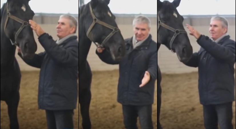 Keress valakit, aki úgy kényeztet, mint Bodó Sándor ezt a kancát!