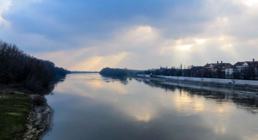 Rejtélyes zöld lény bukkant fel a Tiszában!