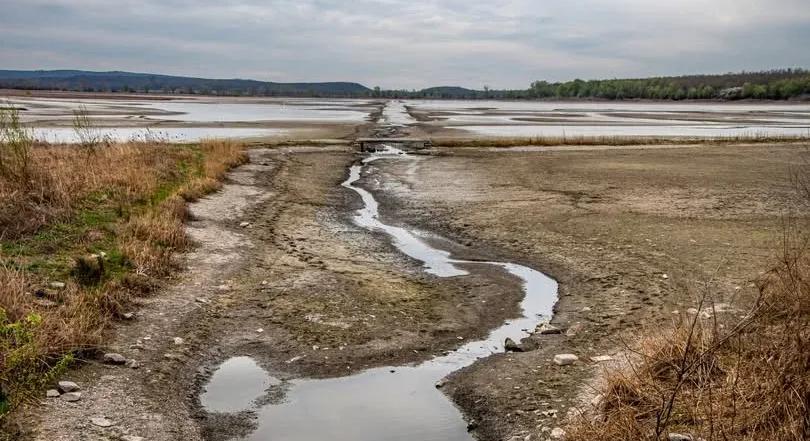 Kiderült, mi áll a Pátkai-víztározó vízminőségének drasztikus romlása mögött