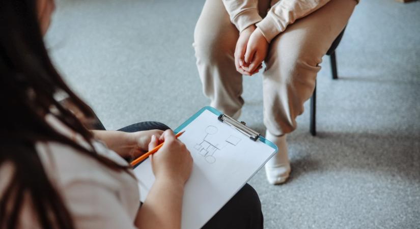 MOK-elnök: nagyon sokan átmentek a pszichiátriai ellátásból a magánegészségügybe