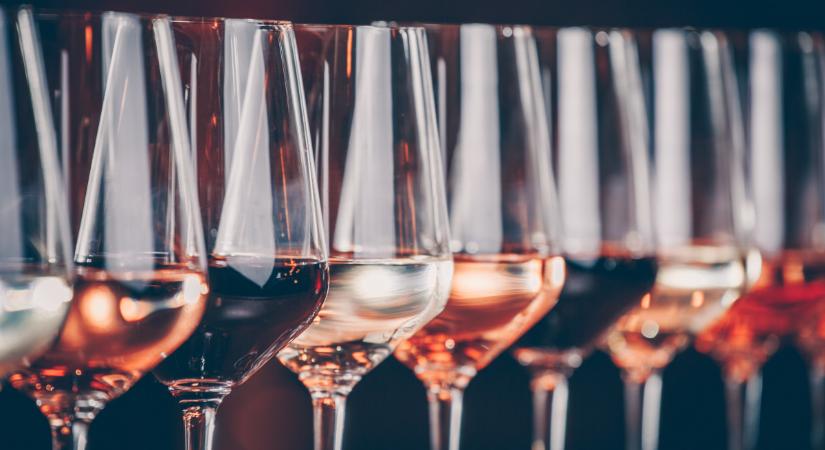 Új otthonra talált a Terroir Club