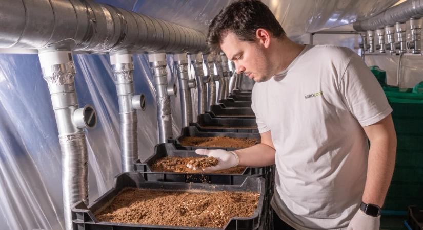 Egy évvel az ünnepélyes átadása után földbe is állhat a hatalmas magyar lárvagyár