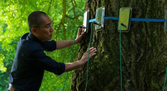 Nem értenünk, hanem érzékelnünk kell a természetet – Enyedi Ildikó Csendes barát című filmjéről