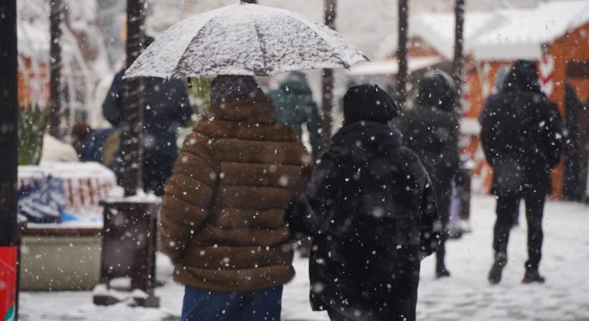 Így reagálnak a szegediek a nemzeti petícióra: féltik a családjukat, békét és biztonságot akarnak