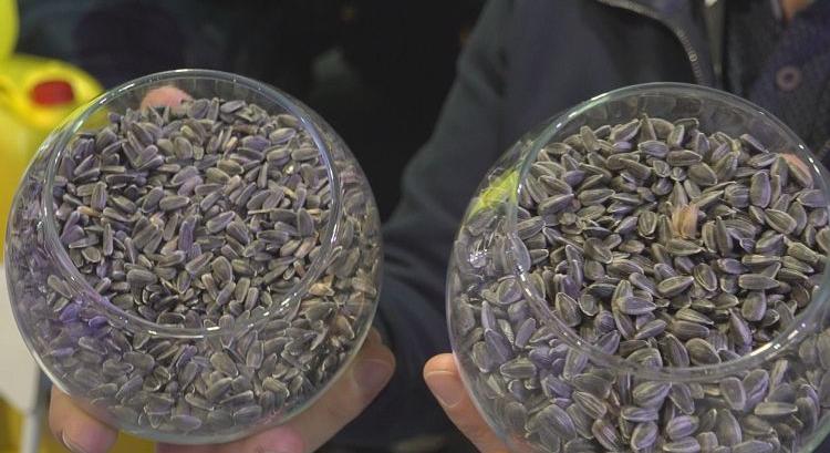 Nagydíjat kapott a Mikro-Vital Avanti az AGROmashEXPO-n