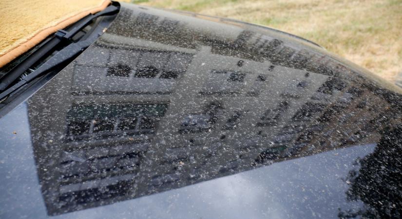 Vigyázat, támad a saras eső! – videó