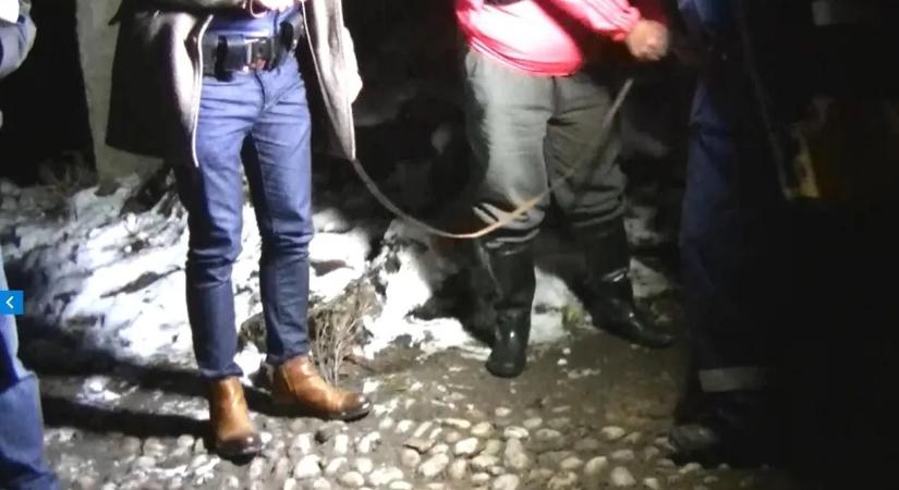 Emberölés Dövényben – végignézették a nővel párja brutális kivégzését – videóval