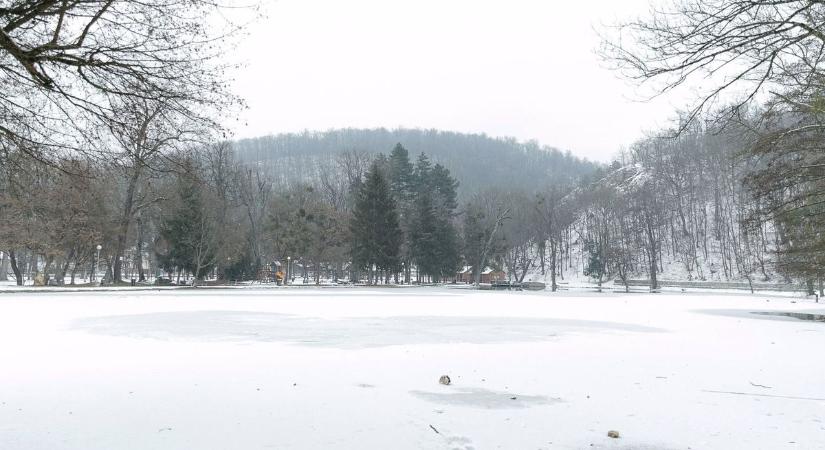 Videó! Hívatlan vendégek rongyoltak végig a hevesi falun – az udvarokra is bejárkálnak, vannak vagy húszan