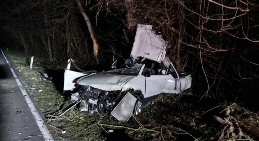 Szörnyű baleset: egy férfi meghalt, fiatal rokona kritikus állapotban van