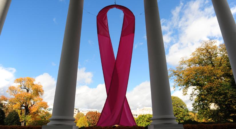 Sztárok, akik legyőzték a rákot – Zalatnay Sarolta börtönbe vonulása előtt tudta meg, hogy beteg